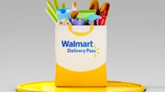 walmart delivery pass