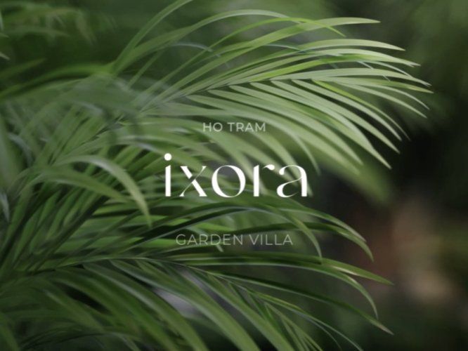 Ixora