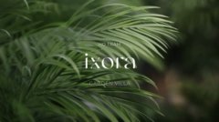 Ixora